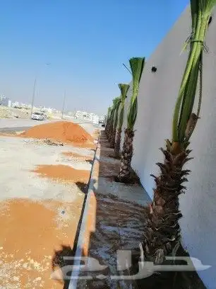 مقاول جميع انواع الشبوك ولمضالات ولهناقر قلع وتوردي انخيل 8