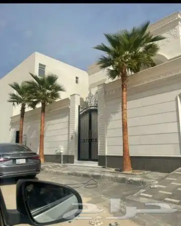 نخل للبيع جميع النواع انخل العربي والوشنطني جميع المقاسات 2