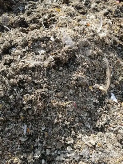 سماد دواجن 2