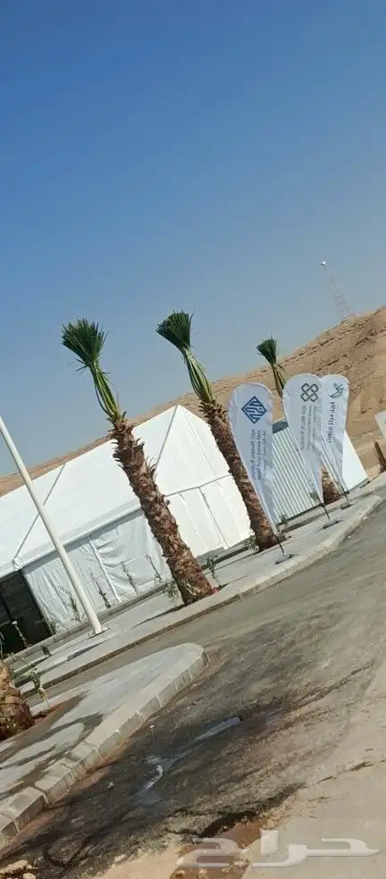 نحن نقوم بتوريد تركيب جميع انواع اشبوك وقسم خاص عرس نخيل 0