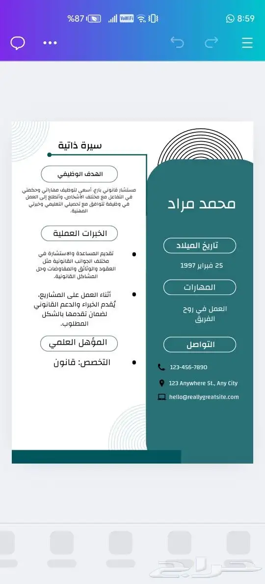 تصميم سيرة ذاتية 8