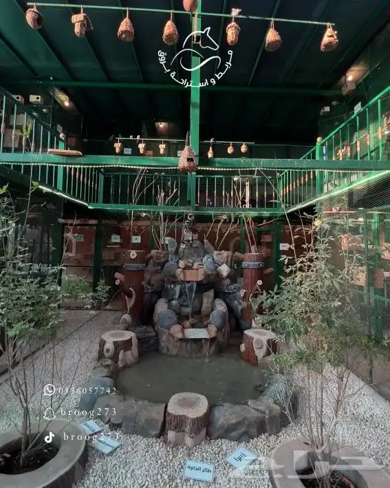 مربط واستراحة بروق للايجار اليوم 11