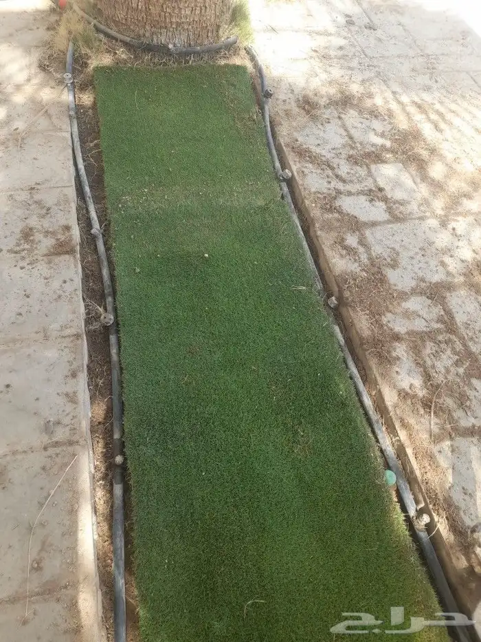 مشتل تنسيق حدائق 9