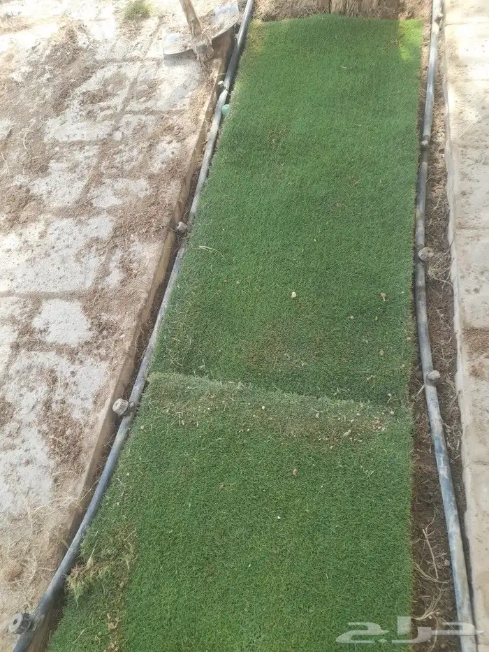 مشتل تنسيق حدائق 8