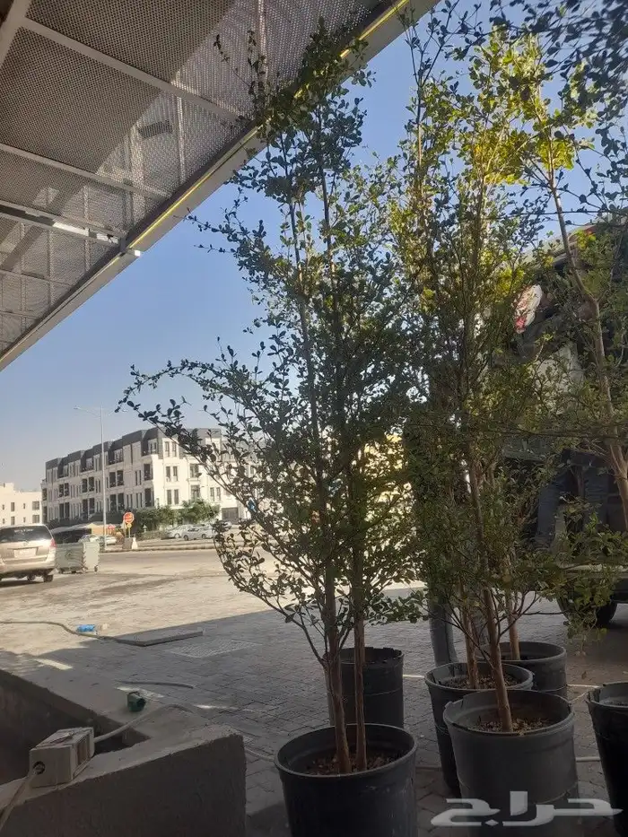 مشتل تنسيق حدائق 5