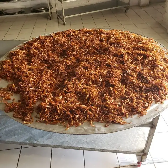 داخال الرياض خارج ارياض لجميع انواع الكلات اشعبيه 3