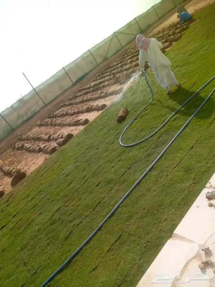 زراعه ثيل طبيعي 3