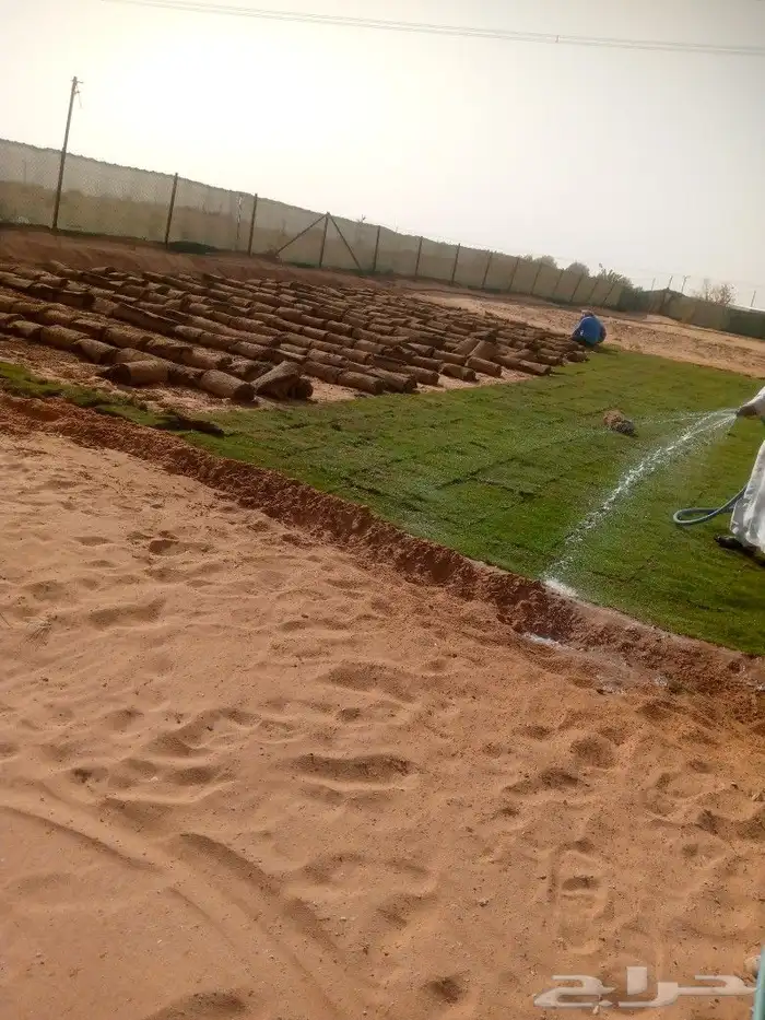 زراعه ثيل طبيعي 4