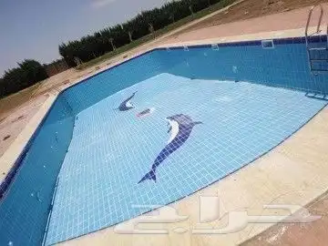 مختص مسابح في جده 6