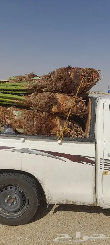 يوجد لدينا 33فسايل طيبه وكبار مشكلات صلاصل وبقيق دمام 1