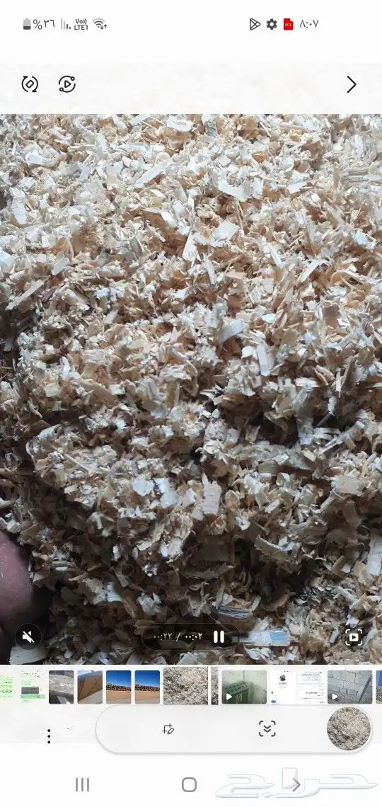 يوجد نشاره للدواجن والخيول عرض خاض للكميات تواصل 0