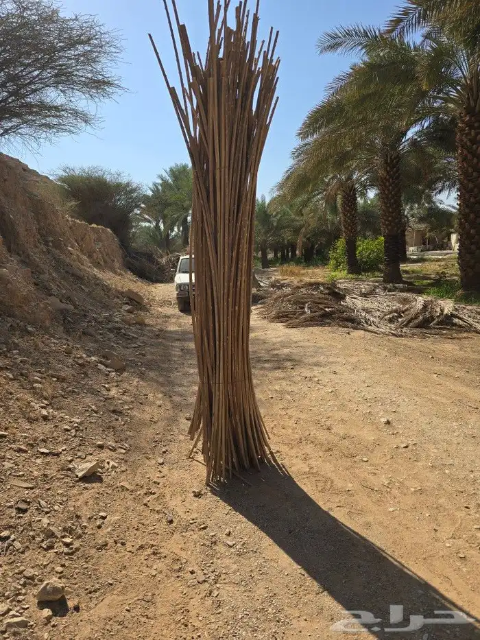عسبان جريد نخل للاعمال الحرفية والتراثية 2