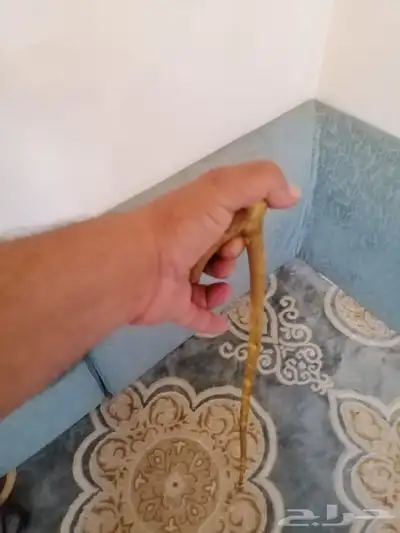 مشعاب شوحط نحيف ( تم البيع ) 9