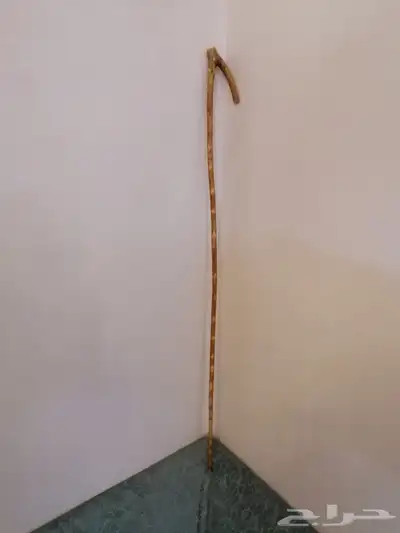 مشعاب شوحط نحيف ( تم البيع ) 1