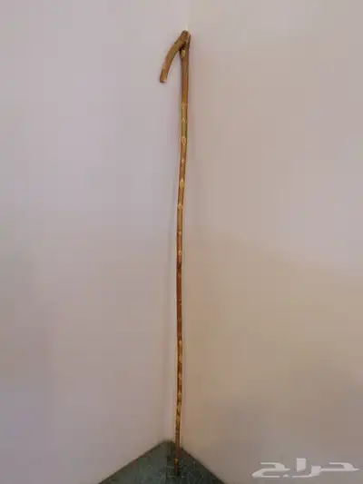مشعاب شوحط نحيف ( تم البيع ) 2
