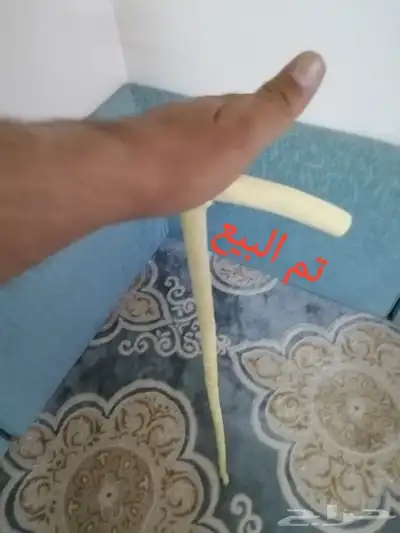مشعاب سلم ( تم البيع ) 5