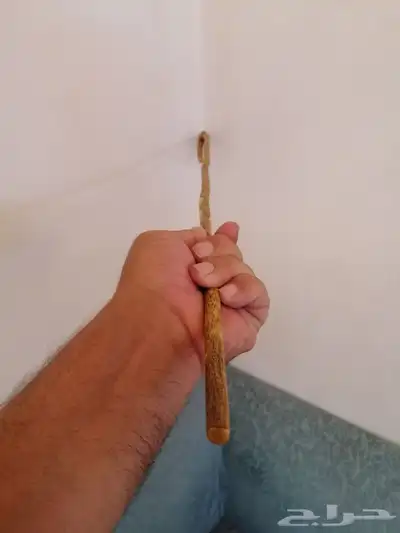 مشعاب شوحط نحيف ( تم البيع ) 5