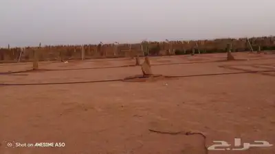 نقوم بتنفيذ مشروع البيوت التراثية بجميع انواعها وتركيب جلسات 2