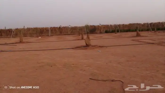 نقوم بتنفيذ مشروع البيوت التراثية بجميع انواعها وتركيب جلسات 2