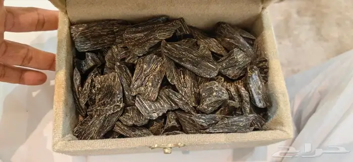 العود الازرق 0