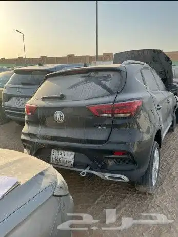 MGZS 1