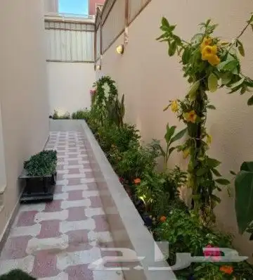 مشتل مشاتل للزراعه 7