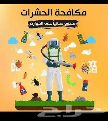 شركة رش مبيدات للصراصير مكافحة حشرات للمنازل بتبوك 1