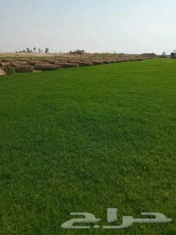 توريد وتركيب ثيل طبيعي c2000درجه اولى شرط 8