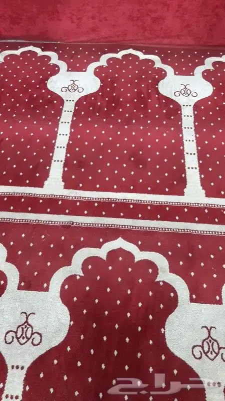 موقعنا فى بيشه 26