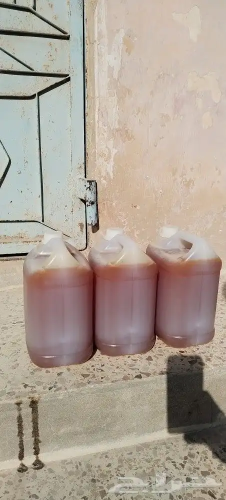 عسل سدر حضرمي انتاج جديد فاخر 4