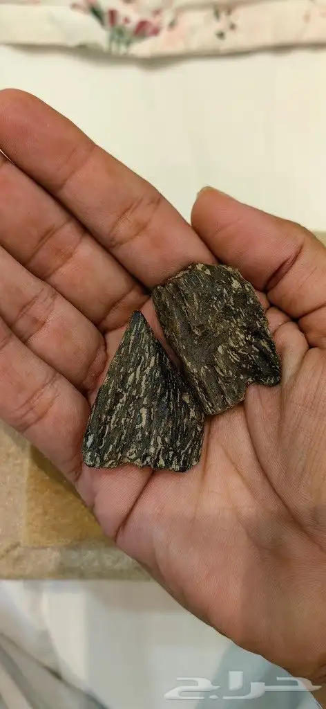 العود الازرق 1