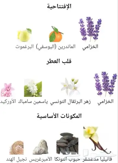 ايف سان لوران ليبرانتنس اودي بارفيوم   90مل اجمل عطرنساىي 1