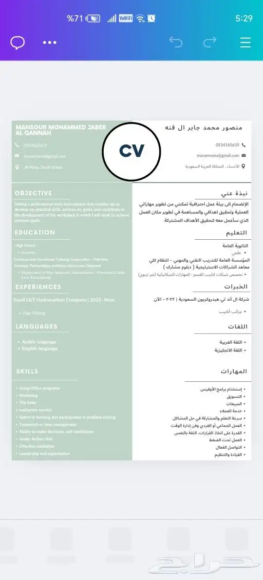 تصميم سيرة ذاتية 0