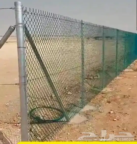 توريد وتركيب الشبوك ونخل الزينة 5