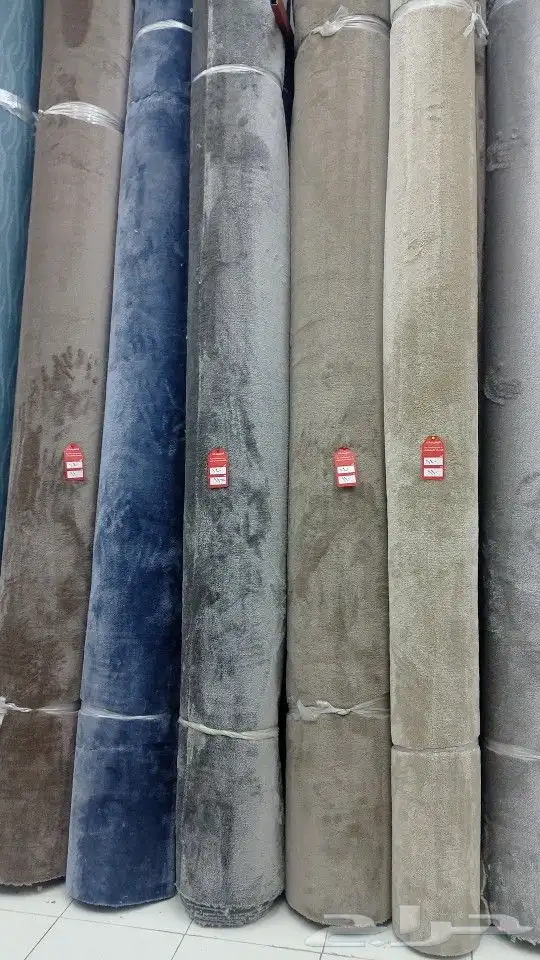 موقعنا فى بيشه 10