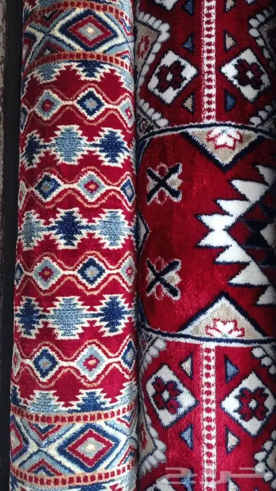 موقعنا فى بيشه 3