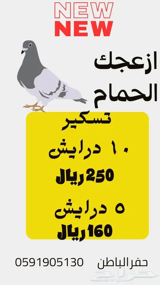تركيب شبك ستيل يمنع الحمام من التعشيش 2