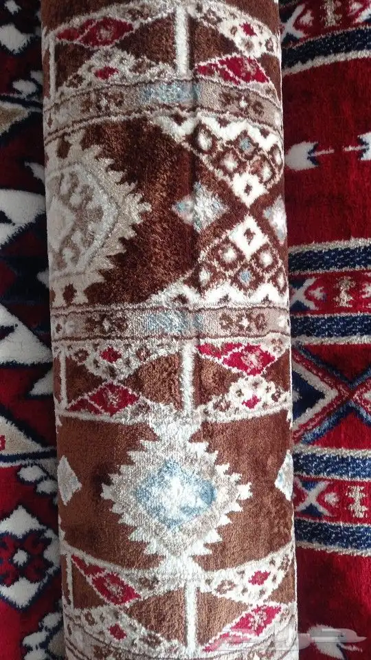 موقعنا فى بيشه 5