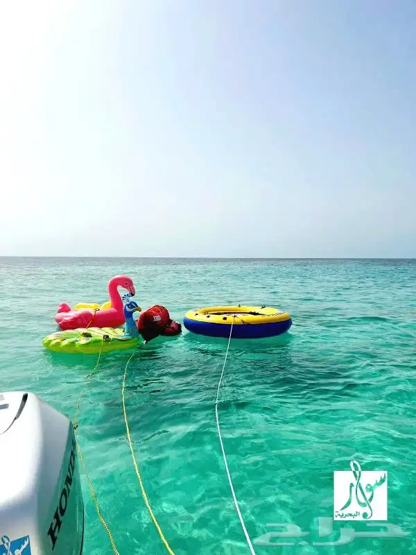 sewar Marine Trips from Thuwal Marina - KAUST 0