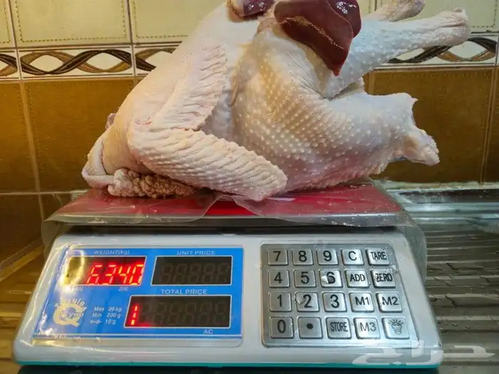 ديك رومي ذبح طازج 0