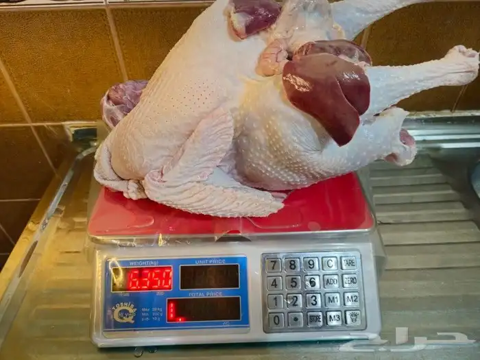 ديك رومي ذبح طازج 3