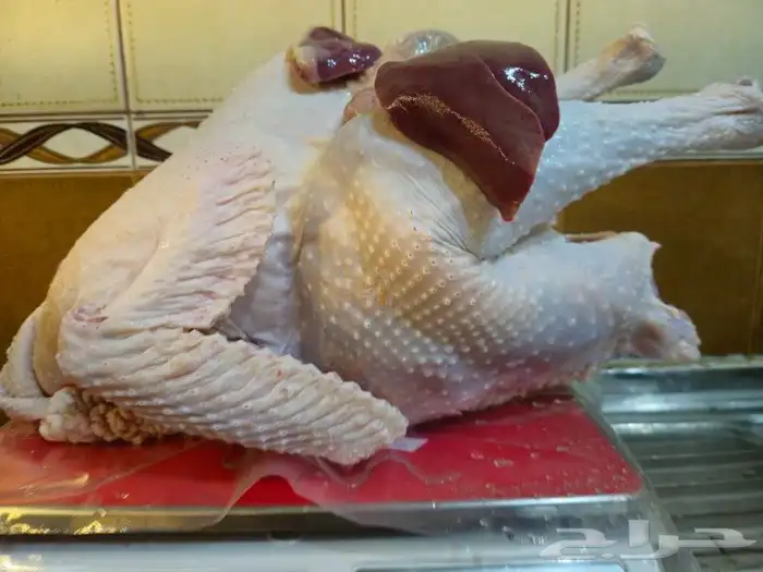 ديك رومي ذبح طازج 2