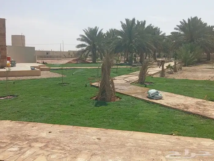 تيل طبيعي 0
