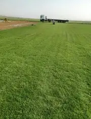 تيل طبيعي 4