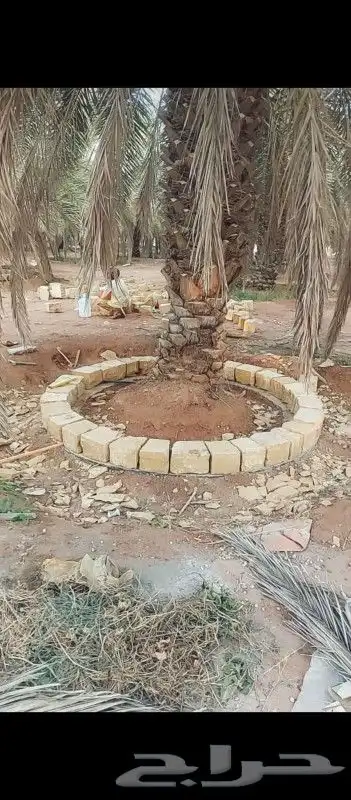 نقوم بتركيب جميع انواع الشبوك 1