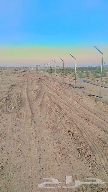 مقاول جميع انواع الشبوك 7