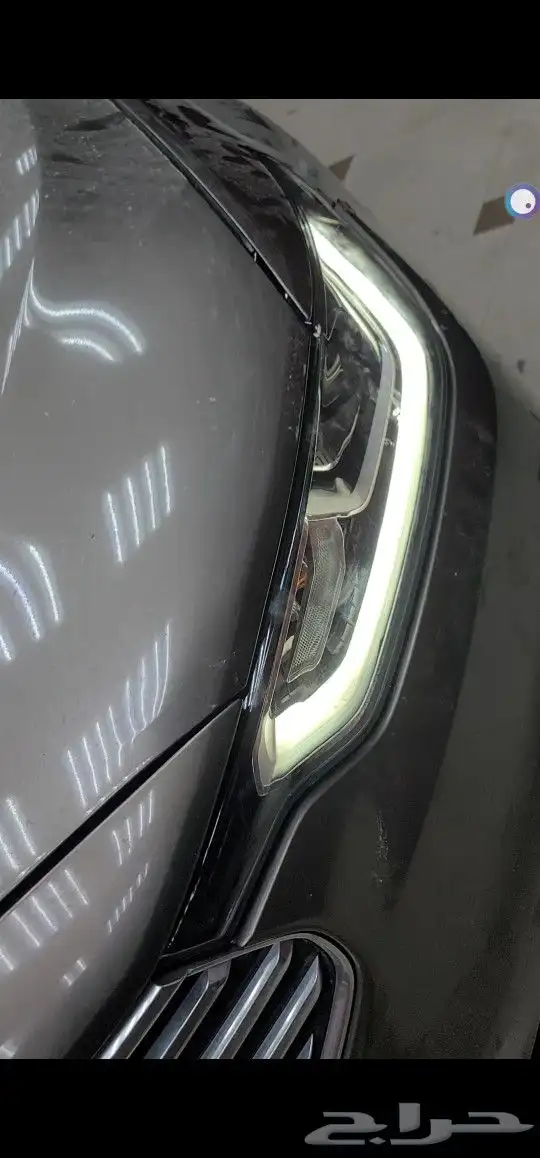 فرد ترس 2020 0