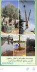 نقوم بتركيب جميع انواع الشبوك النخيل المثمر طيب جميع المقاسا 7