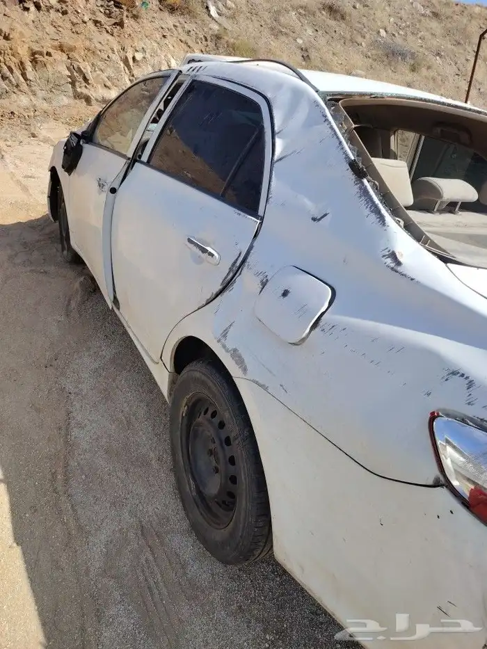القنفذه 6