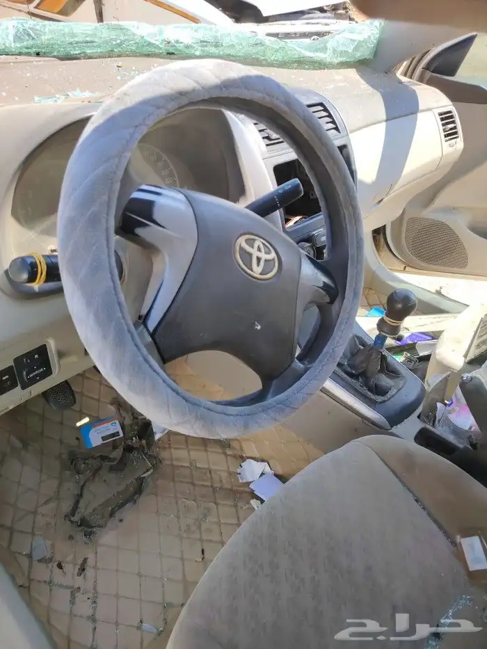القنفذه 1